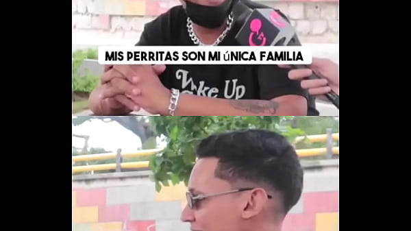 Mis perritas son mi única familia #historia #chiclenoticias #elchicletv #vida #comunidad