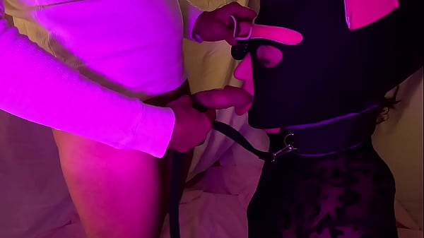 My bitch wife like to be a violet dog and get fuck in the ass